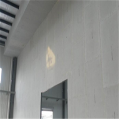 红河宁波ALC板|EPS加气板隔墙与混凝土整浇联接的实验研讨